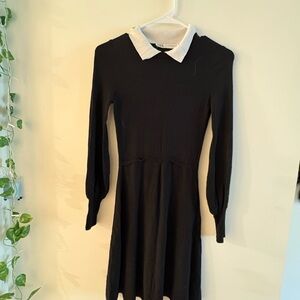 Zara Black Dress with White Collar